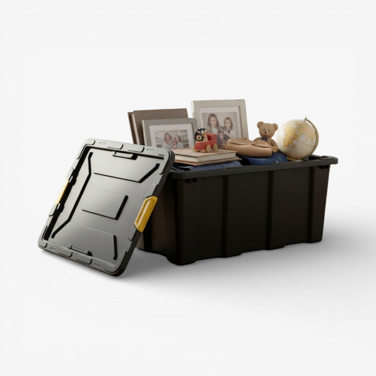 Caja organizadora 100lts.